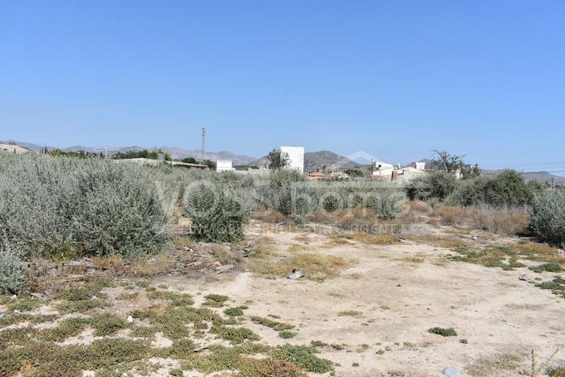 VH1568: Terrain Urbain à vendre dans Villages Huércal-Overa