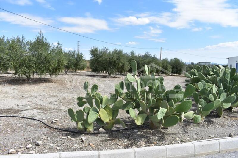 VH1921: Country House / Cortijo for Sale in Huércal-Overa Countryside