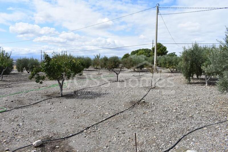 VH1921: Country House / Cortijo for Sale in Huércal-Overa Countryside