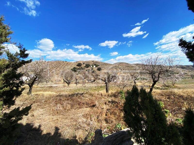 VH2059: Maison de campagne à vendre dans Huércal-Overa, Almería