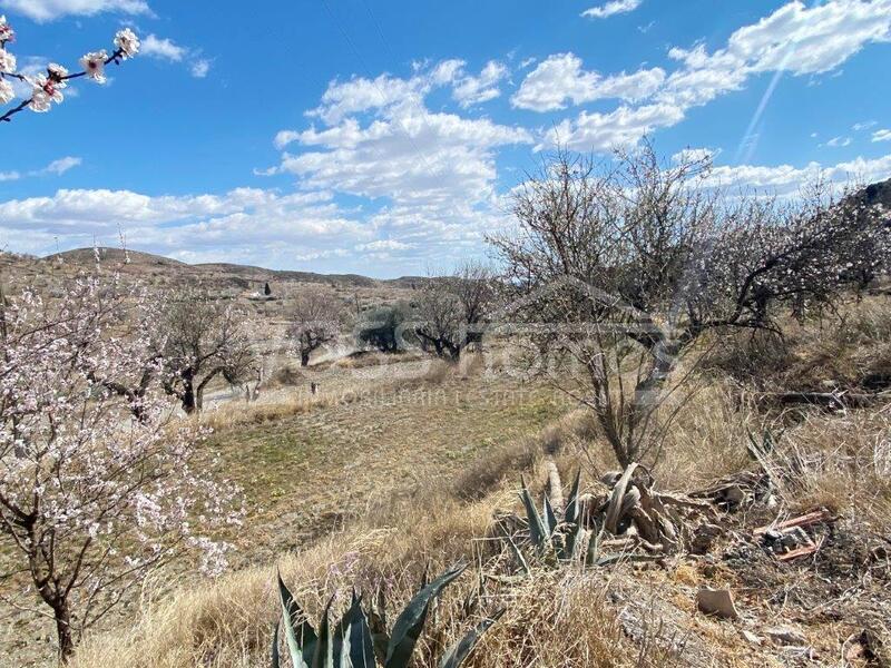 VH2059: Maison de campagne à vendre dans Huércal-Overa, Almería