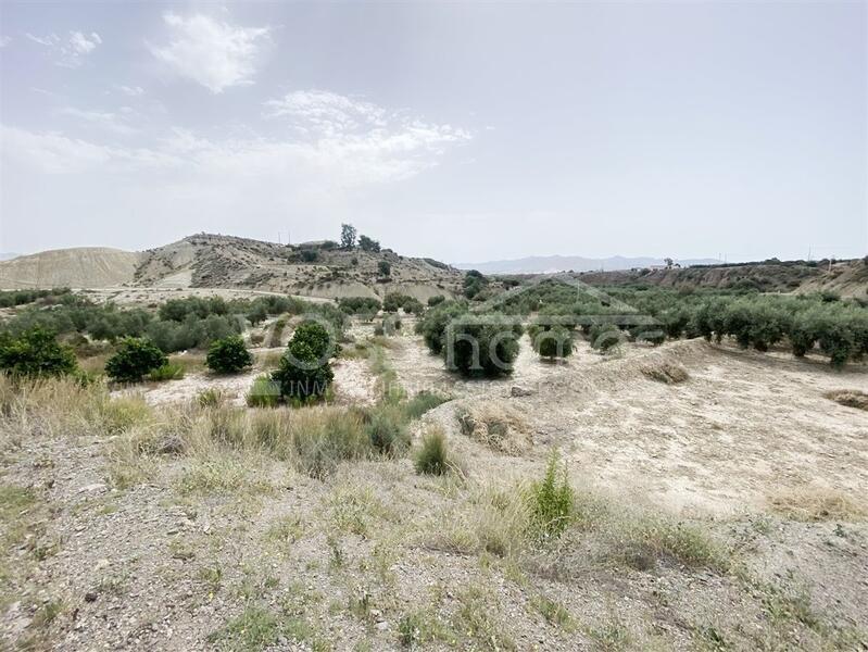 VH2101: Maison de campagne à vendre dans La campagne Huércal-Overa