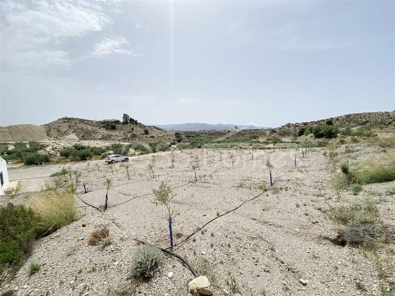 VH2101: Landhaus zu verkaufen im Huércal-Overa Landschaft