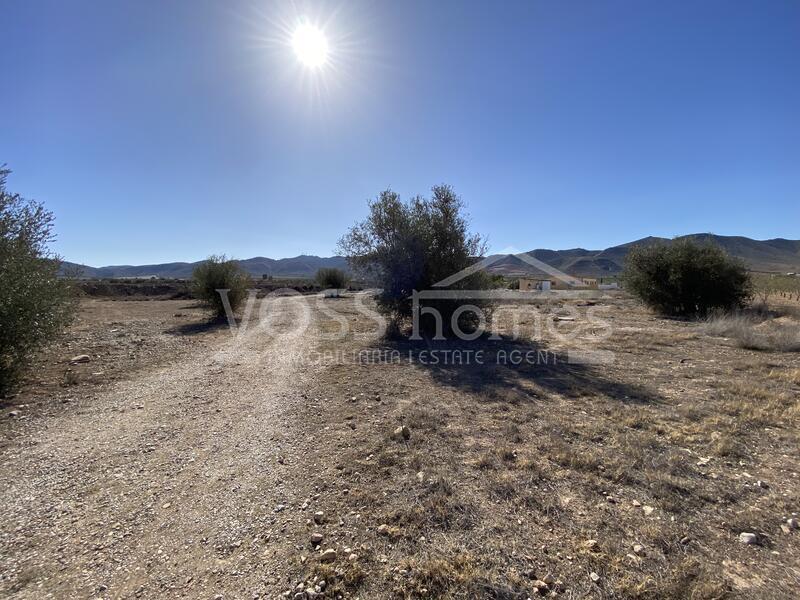 VH2109: Country House / Cortijo for Sale in Huércal-Overa Countryside