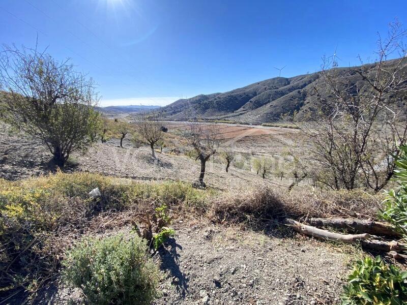 VH2271: Villa Cabrera, Villa te koop in Huércal-Overa, Almería