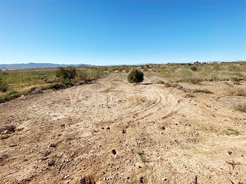 VH2277: Country House / Cortijo for Sale in Huércal-Overa Countryside