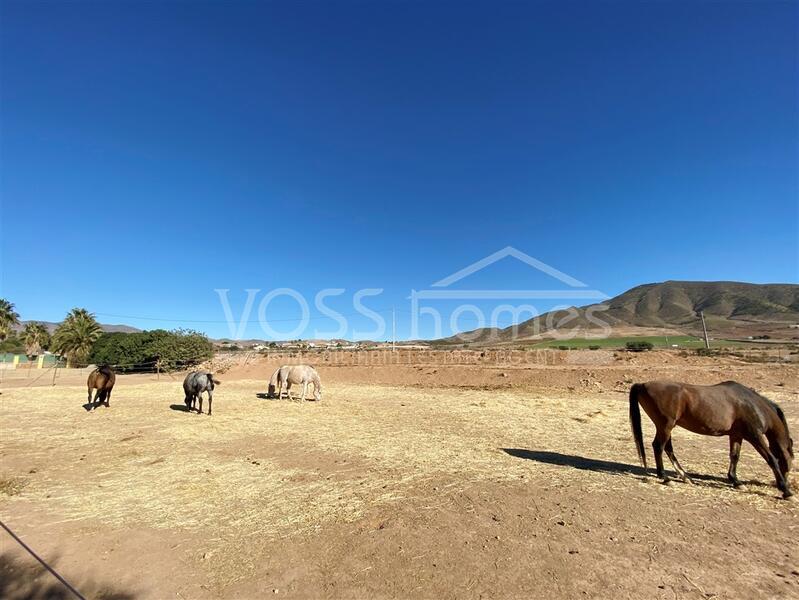 VH2277: Country House / Cortijo for Sale in Huércal-Overa Countryside