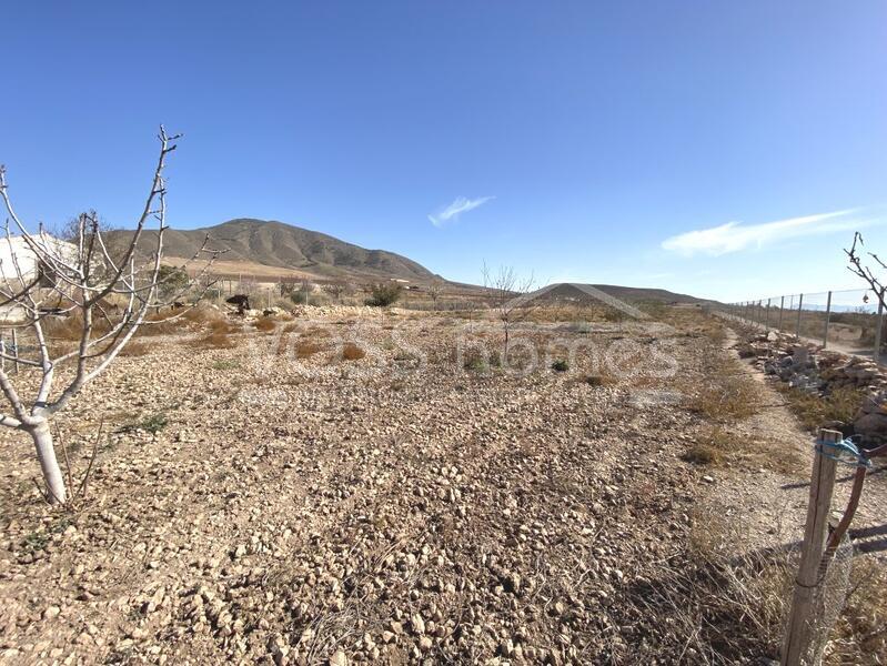 VH2310: Cortijo Loli, Maison de campagne à vendre dans Huércal-Overa, Almería