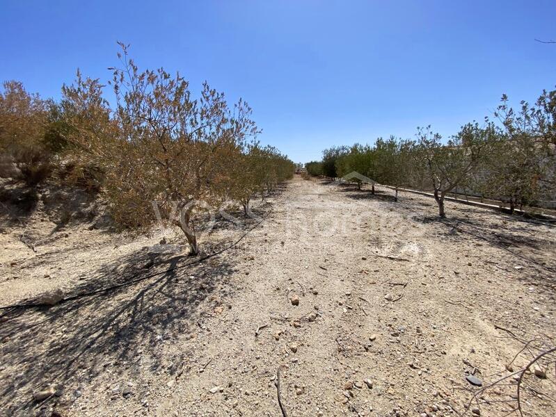 VH2382: Maison de campagne à vendre dans La campagne Huércal-Overa