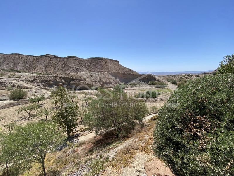 VH2399: Landhaus zu verkaufen im Huércal-Overa Landschaft