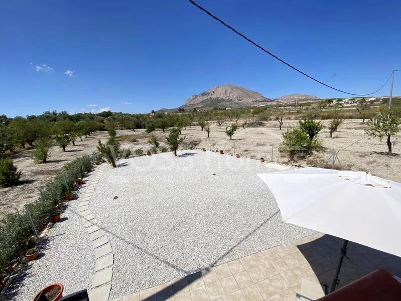 VH2429: Country House / Cortijo for Sale in Velez Rubio Area