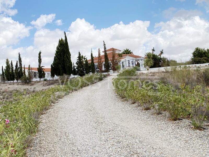 VH2430: Villa for Sale in Huércal-Overa Countryside