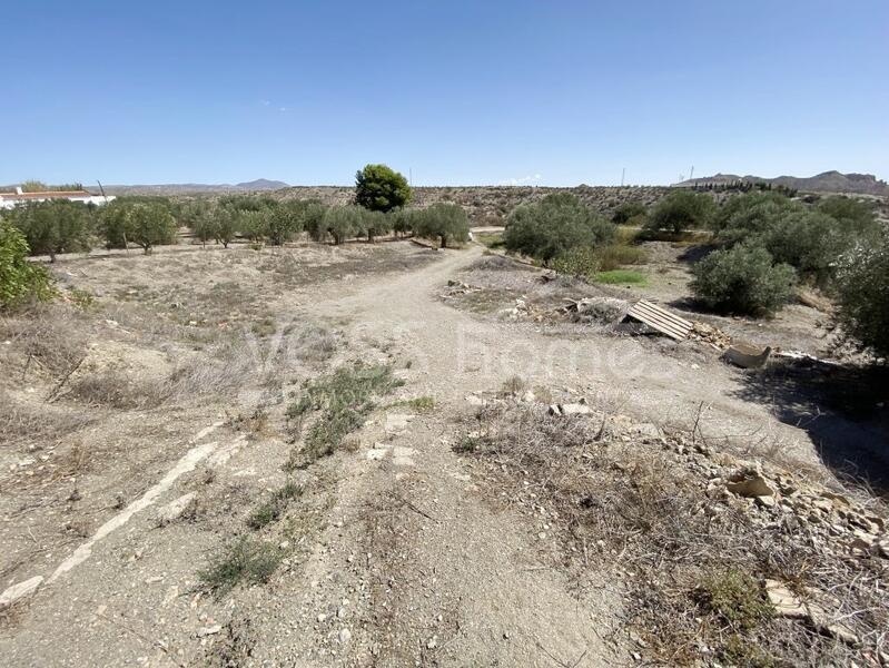 VH2431: Rustic Land for Sale in Huércal-Overa Villages