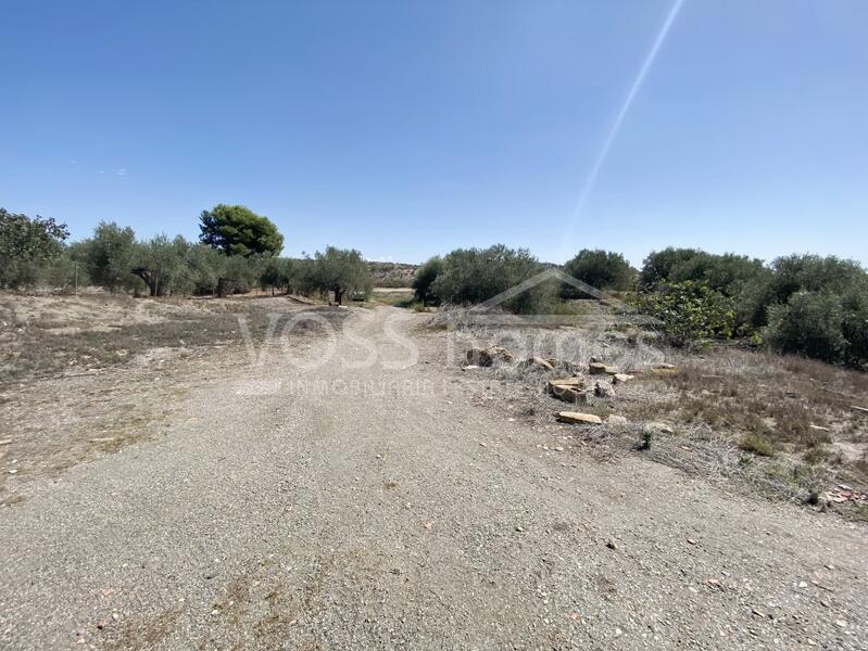 VH2431: Rustic Land for Sale in Huércal-Overa Villages