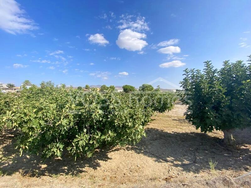 VH2432: Maison de campagne à vendre dans Villages Huércal-Overa