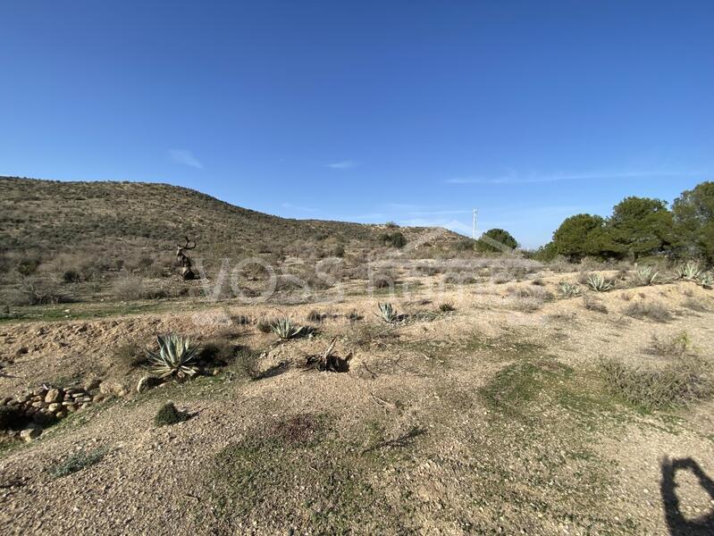 VH2473: Rustic Land for Sale in Huércal-Overa Countryside