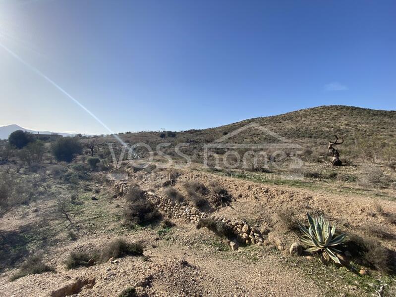 VH2473: Rustic Land for Sale in Huércal-Overa Countryside