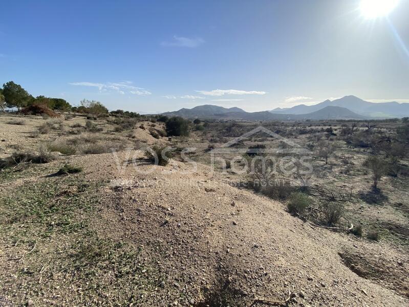 VH2473: Rustic Land for Sale in Huércal-Overa Countryside