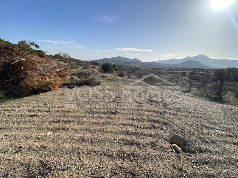 VH2473: Rustic Land for Sale in Huércal-Overa Countryside