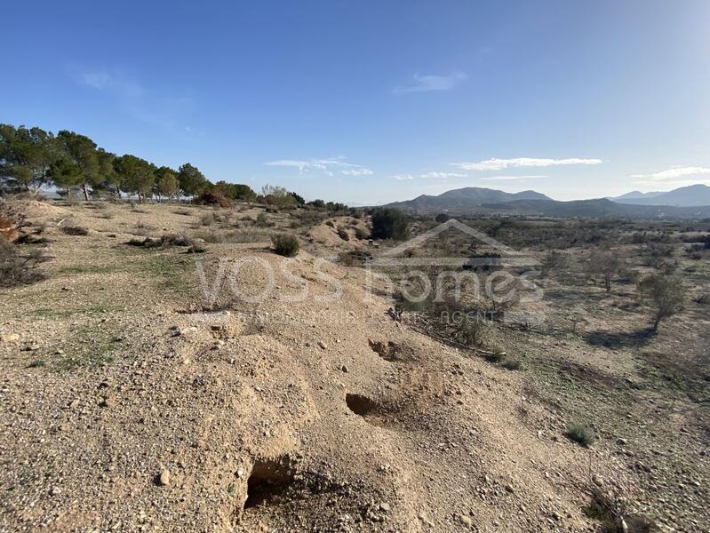 VH2473: Rustic Land for Sale in Huércal-Overa Countryside