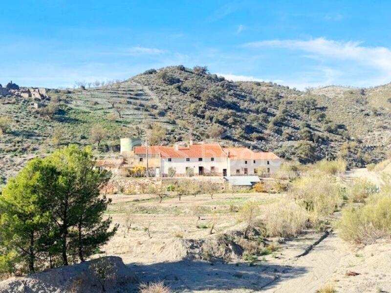 VH2484: Country House / Cortijo for Sale in Taberno Area