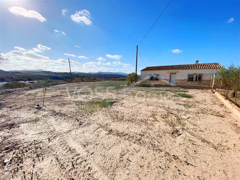 VH2499: Country House / Cortijo for Sale in La Alfoquia Area