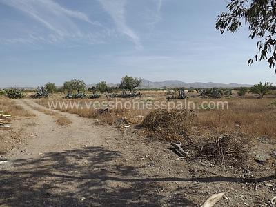 VH362: Cortijo Egea, Maison de campagne à vendre dans Huércal-Overa, Almería