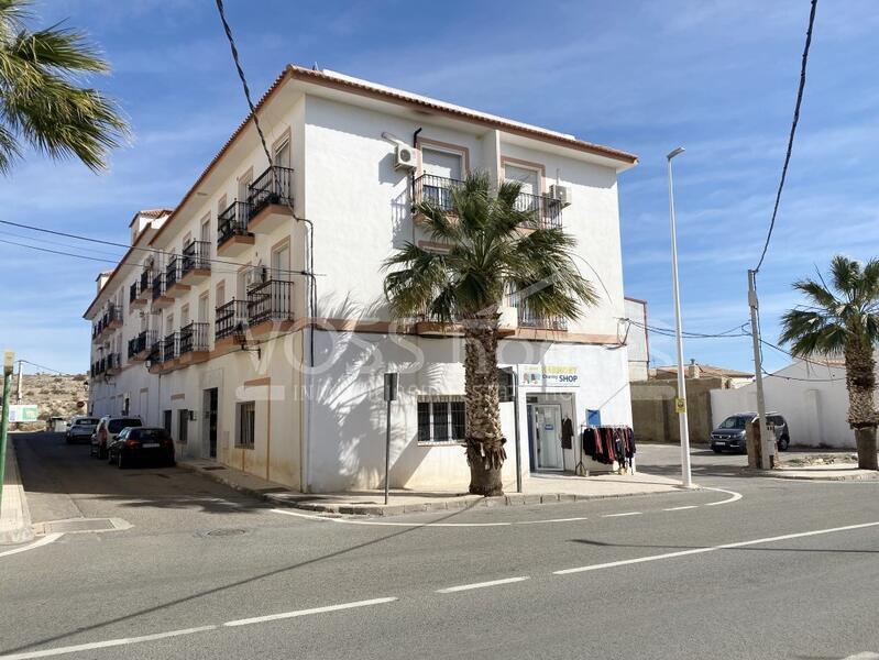 VHR2181: Apartment Carlow, Wohnung zu vermieten im La Alfoquia, Almería