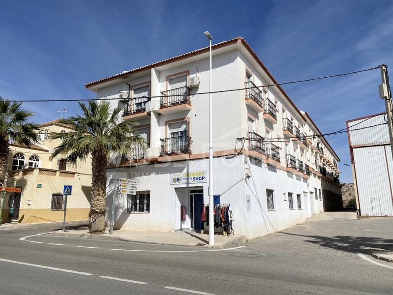 VHR2181: Apartment Carlow, Apartment for Rent in La Alfoquia, Almería