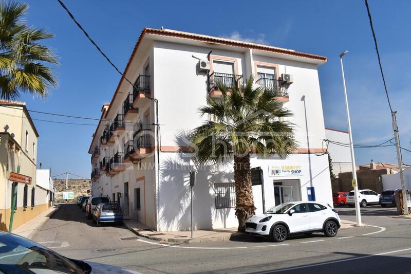 VHR2395: Apartment Raven, Appartement te huur in La Alfoquia, Almería